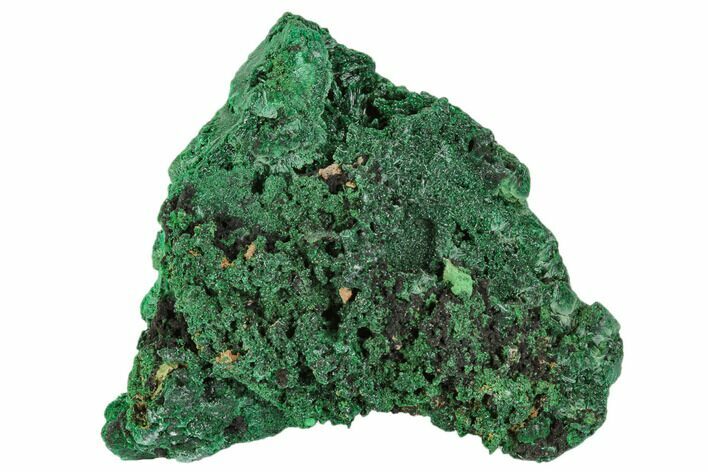 Forest-Green, Fibrous Malachite Cluster - Congo #110496